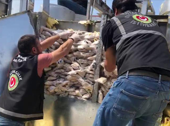 İstanbul Ambarlı Limanı’nda 2 ton uyuşturucu yakalandı