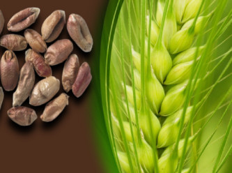 İşte bugün bütün whatsapp gruplarında paylaşılan o yazı: İğreti sürgün