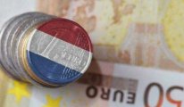 Hollanda, alt gelir grubuna 17 milyar euro dağıtacak