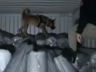 Bir günde ikinci duyuru: 4.6 ton daha uyuşturucu yakalandı