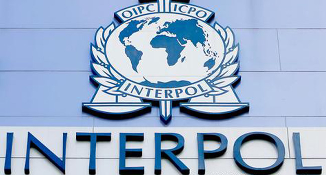 Interpol: Ülkeler mafyaya karşı kaybediyor