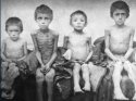 Almanya, Holodomor trajedisini 'soykırım' olarak tanıdı