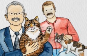 Türkiye seçime giderken kedi siyaseti
