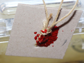 Sivil inisiyatifler seçim güvenliği için ne yapıyor?