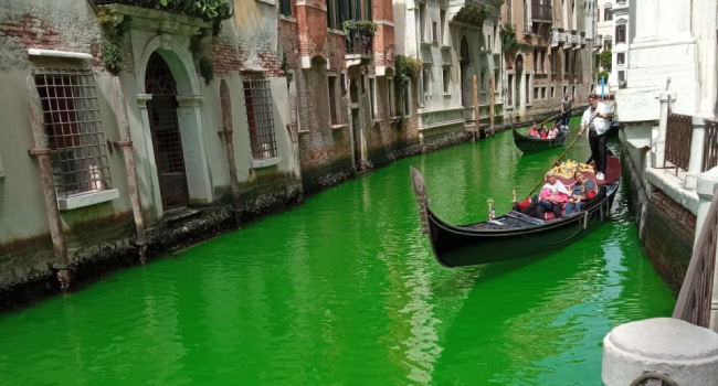 Venedik'in kanal suyu neden yeşile dönüştü?