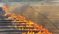 Trakya'daki buğday tarlalarını kim yakıyor?: 20 günde tam 920 dönüm