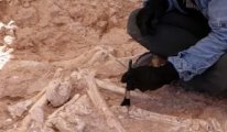 Kayseri'de 7.5 milyon yıllık zürafa kemiği bulundu