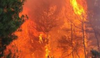Biri södürülemeden yenisi başlıyor: Şimdi de Marmaris'te orman yangını!