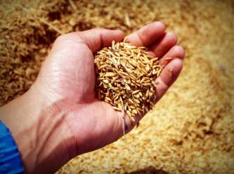 Polonya'dan Ukrayna’ya yeni 'tahıl uygulaması'