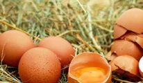 Uzmanlardan dikkat çeken yumurta uyarısı