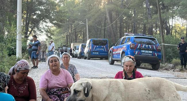 Saraya şok: Yargı o acele kamulaştırmaya 'dur' dedi