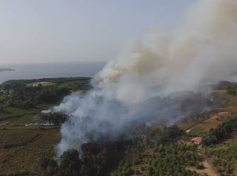 Beykoz’da 2 farklı bölgede orman yangını