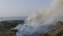 Beykoz’da 2 farklı bölgede orman yangını