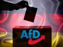 AfD, Almanya'da gençler arasındaki oyunu ikiye katladı