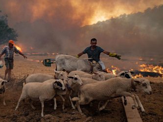 İklim değişikliği neden bir milli güvenlik sorunu?
