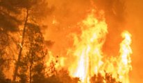 Yunanistan’da alarm! Son 20 yılın en büyük yangını yaşanıyor