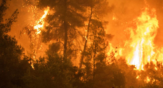 Yunanistan’da alarm! Son 20 yılın en büyük yangını yaşanıyor