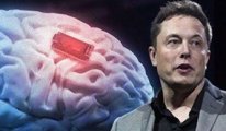 Elon Musk'ın şirketi onay aldı: Beyin çipi deneyleri başlıyor