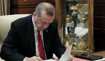 Erdoğan 2 ülkeye büyükelçi atadı, TPAO yönetiminden 3 kişiyi görevden aldı