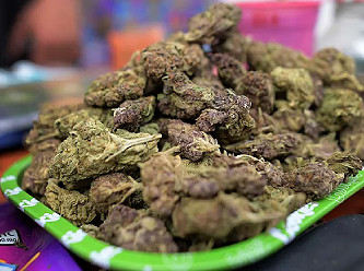 BM: Taliban geldikten sonra afyon üretimi %95 azaldı