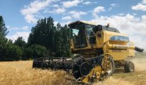 Dışa bağımlılıkta zirve: Rusya’dan tahıl ithalatında yine lideriz