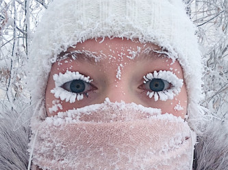 O ülke donuyor: Soğuktan iki milyon hayvan öldü