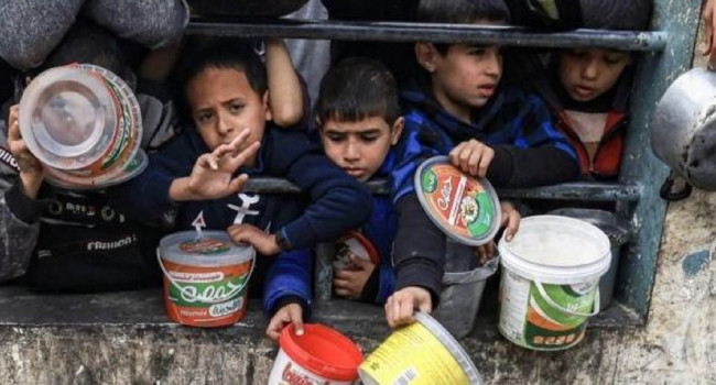 Refah'ta Filistinlilerin hayatta kalma mücadelesi insanlık dramına dönüştü