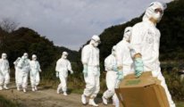H5N1 salgını geliyor