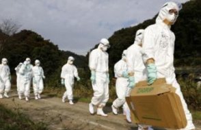 DSÖ'den A(H5N2) uyarısı: Kuş gribinden ilk kez bir insan öldü