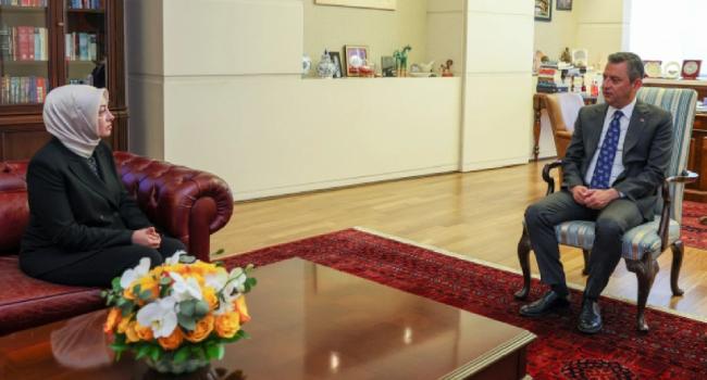 Ayşe Ateş'ten Bahçeli iddiası: 'Çağrısı karşılık buldu, Cumhurbaşkanı ile görüşmemiz gerçekleşmedi'