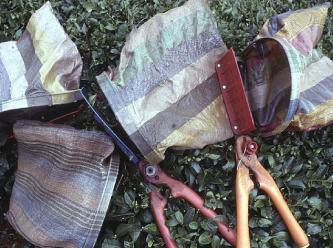 Yaş çay fiyatı istifa getirdi: Kabul etmiyoruz!