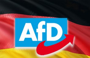 Almanya'da aşırı sağcı AfD oyunu nasıl artırdı?