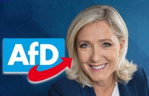 AfD'ye Marine Le Pen'den kötü haber!