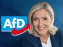 AfD'ye Marine Le Pen'den kötü haber!
