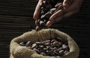 Kakao fırtınası Türkiye'ye ulaştı