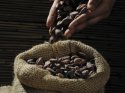 Kakao fırtınası Türkiye'ye ulaştı