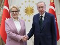 İddia: Meral Akşener, Erdoğan'dan oğlu için Paris büyükelçiliğini istemiş