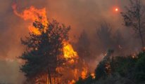 İzmir Selçuk'ta büyük yangın: Evler ve oteller boşaltıldı