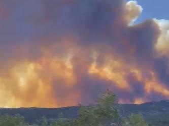 Yunanistan'da orman yangını: Alevler 25 metreye ulaştı, 'kaçın' emri geldi