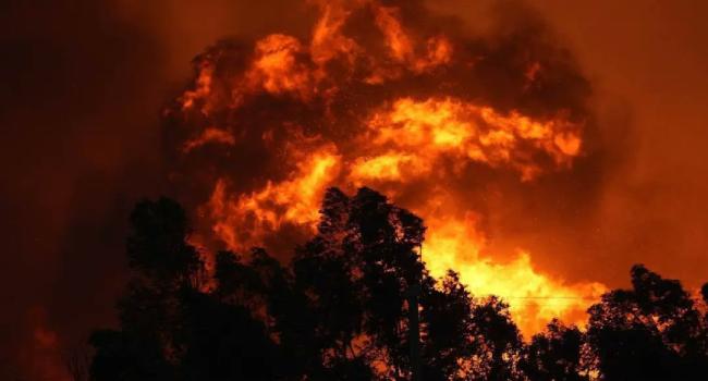 İki günde 113 orman yangını çıktı: 3 kişi gözaltına alındı