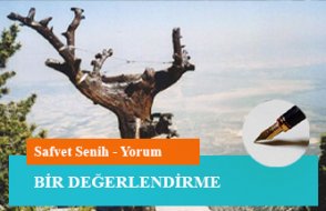 Bir değerlendirme