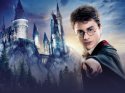 Harry Potter parkında yaralandı, 7,25 milyon dolar kazandı