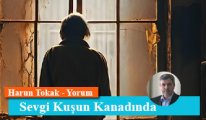 Sevgi Kuşun Kanadında
