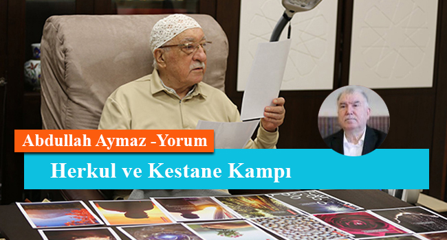 Herkul ve Kestane Kampı