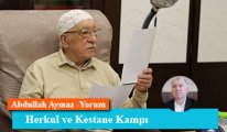 Herkul ve Kestane Kampı
