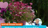 Bitkinin azim ve kararlılığı