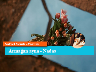 Armağan ayna - Nadas