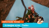 Armağan ayna - Nadas