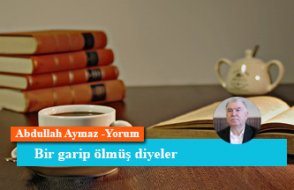 Bir garip ölmüş diyeler