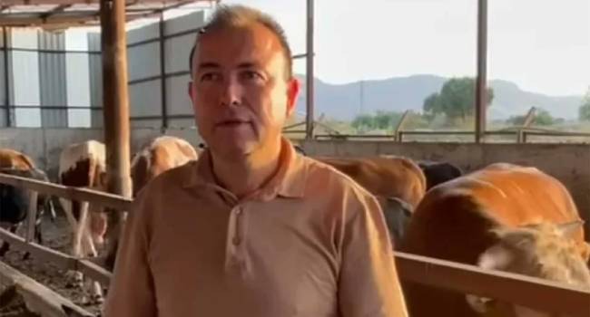 Manisa'da dehşet! Dananın saldırdığı iş insanı öldü